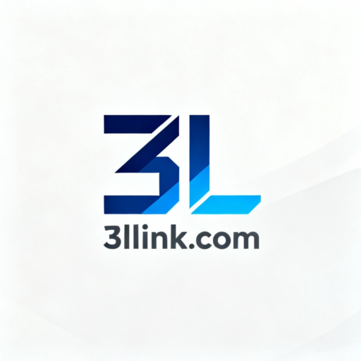 3L